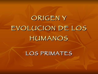 ORIGEN Y EVOLUCION DE LOS HUMANOS LOS PRIMATES 