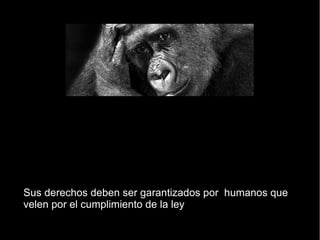 Sus derechos deben ser garantizados por humanos que
velen por el cumplimiento de la ley