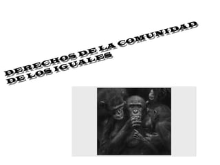 DERECHOS DE LA COMUNIDAD
DE LOS IGUALES
DERECHOS DE LA COMUNIDAD
DE LOS IGUALES