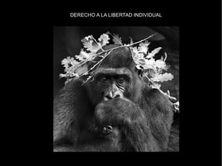 DERECHO A LA LIBERTAD INDIVIDUAL