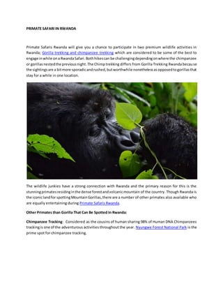 PRIMATE SAFARI IN RWANDA
Primate Safaris Rwanda will give you a chance to participate in two premium wildlife activities in
Rwanda; Gorilla trekking and chimpanzee trekking which are considered to be some of the best to
engage inwhile ona RwandaSafari.Bothhikescan be challengingdependingonwhere the chimpanzee
or gorillasnestedthe previousnight.The Chimptrekking differs from Gorilla Trekking Rwanda because
the sightingsare a bitmore sporadicandrushed,butworthwhile nonethelessasopposedtogorillasthat
stay for a while in one location.
The wildlife junkies have a strong connection with Rwanda and the primary reason for this is the
stunningprimatesresidinginthe dense forestandvolcanicmountain of the country. Though Rwanda is
the iconiclandfor spottingMountainGorillas,there are a number of other primates also available who
are equally entertaining during Primate Safaris Rwanda.
Other Primates than Gorilla That Can Be Spotted In Rwanda:
Chimpanzee Tracking: Considered as the cousins of human sharing 98% of Human DNA Chimpanzees
trackingis one of the adventurous activities throughout the year. Nyungwe Forest National Park is the
prime spot for chimpanzee tracking.
 