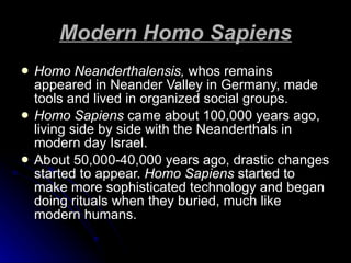Modern Homo Sapiens Homo Neanderthalensis,  whos   remains appeared in Neander Valley in Germany, made tools and lived in organized social groups.  Homo Sapiens  came about 100,000 years ago, living side by side with the Neanderthals in modern day Israel.  About 50,000-40,000 years ago, drastic changes started to appear.  Homo Sapiens  started to make more sophisticated technology and began doing rituals when they buried, much like modern humans. 