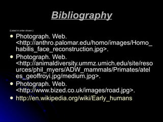 Bibliography (Listed in order shown.) Photograph. Web. <http://anthro.palomar.edu/homo/images/Homo_habilis_face_reconstruction.jpg>.  Photograph. Web. <http://animaldiversity.ummz.umich.edu/site/resources/phil_myers/ADW_mammals/Primates/ateles_geoffroyi.jpg/medium.jpg>. Photograph. Web. <http://www.bized.co.uk/images/road.jpg>.  http:// en.wikipedia.org/wiki/Early_humans 
