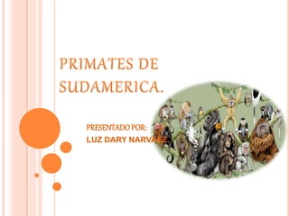 PRESENTADOPOR:
LUZ DARY NARVAEZ.
 