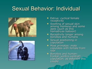 Sexual Behavior: Individual Estrus: cyclical female receptivity Swelling of sexual skin among monkeys and some apes (such as this hamadryas baboon) Receptivity longer among bonobos and humans Sexual positioning in copulation Most primates: male copulates with female from rear Bonobos and human: frontal (ventro-ventral) copulation, as between this couple 