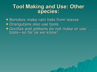 Tool Making and Use: Other species: Bonobos make rain hats from leaves Orangutans also use tools Gorillas and gibbons do not make or use tools—so far as we know! 