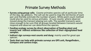 Premates Insects Primates of the World and India | PDF