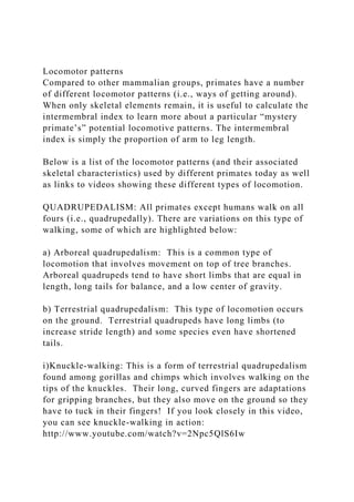 Locomotor patterns
Compared to other mammalian groups, primates have a number
of different locomotor patterns (i.e., ways of getting around).
When only skeletal elements remain, it is useful to calculate the
intermembral index to learn more about a particular “mystery
primate’s” potential locomotive patterns. The intermembral
index is simply the proportion of arm to leg length.
Below is a list of the locomotor patterns (and their associated
skeletal characteristics) used by different primates today as well
as links to videos showing these different types of locomotion.
QUADRUPEDALISM: All primates except humans walk on all
fours (i.e., quadrupedally). There are variations on this type of
walking, some of which are highlighted below:
a) Arboreal quadrupedalism: This is a common type of
locomotion that involves movement on top of tree branches.
Arboreal quadrupeds tend to have short limbs that are equal in
length, long tails for balance, and a low center of gravity.
b) Terrestrial quadrupedalism: This type of locomotion occurs
on the ground. Terrestrial quadrupeds have long limbs (to
increase stride length) and some species even have shortened
tails.
i)Knuckle-walking: This is a form of terrestrial quadrupedalism
found among gorillas and chimps which involves walking on the
tips of the knuckles. Their long, curved fingers are adaptations
for gripping branches, but they also move on the ground so they
have to tuck in their fingers! If you look closely in this video,
you can see knuckle-walking in action:
http://www.youtube.com/watch?v=2Npc5QlS6Iw
 