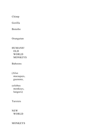 Chimp
Gorilla
Bonobo
Orangutan
HUMANS!
OLD
WORLD
MONKEYS
Baboons
(Also
macaques,
guenons,
colobus
monkeys,
langurs)
Tarsiers
NEW
WORLD
MONKEYS
 