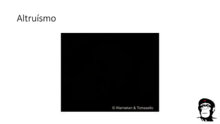 Altruísmo
 