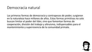 Democracia natural
Las primeras formas de democracia y contrapesos de poder, surgieron
en la naturaleza hace millones de años. Estas formas primitivas no solo
buscan limitar el poder del líder, sino que fomentan formas de
cooperación, división del trabajo y altruismo, indispensables para el
mantenimiento y supervivencia de la comunidad primate.
 