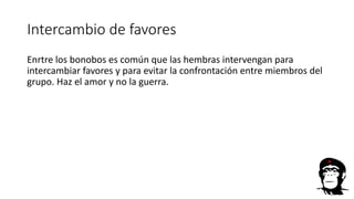 Intercambio de favores
Enrtre los bonobos es común que las hembras intervengan para
intercambiar favores y para evitar la confrontación entre miembros del
grupo. Haz el amor y no la guerra.
 