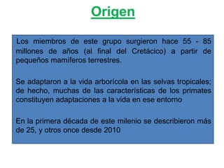 Prosimios Primates y prosimios | PPTX
