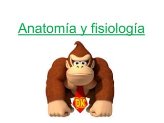 Prosimios Primates y prosimios | PPTX