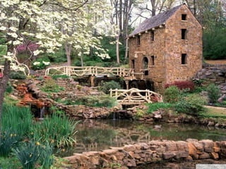 春花望露Primavara