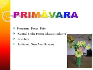  Prezentare Power Point
 “Centrul Scolar Pentru Educatie Incluziva”
 Alba-Iulia
 Institutor, Savu Anca Ramona
 