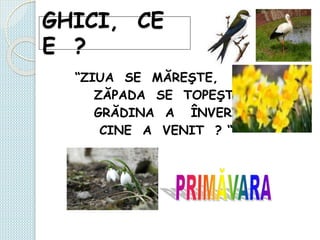 GHICI, CE
E ?
“ZIUA SE MĂREŞTE,
ZĂPADA SE TOPEŞTE,
GRĂDINA A ÎNVERZIT,
CINE A VENIT ? “
 