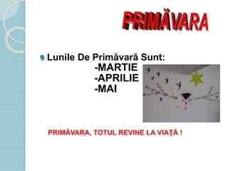 Lunile De Primăvară Sunt:
-MARTIE
-APRILIE
-MAI
PRIMĂVARA, TOTUL REVINE LA VIAŢĂ !
 