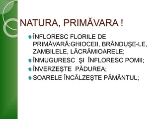 NATURA, PRIMĂVARA !
ÎNFLORESC FLORILE DE
PRIMĂVARĂ:GHIOCEII, BRÂNDUŞE-LE,
ZAMBILELE, LĂCRĂMIOARELE;
ÎNMUGURESC ŞI ÎNFLORESC POMII;
ÎNVERZEŞTE PĂDUREA;
SOARELE ÎNCĂLZEŞTE PĂMÂNTUL;
 