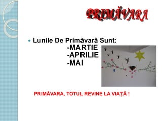  Lunile De Primăvară Sunt:
-MARTIE
-APRILIE
-MAI
PRIMĂVARA, TOTUL REVINE LA VIAŢĂ !
 