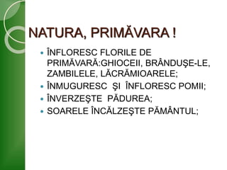 NATURA, PRIMĂVARA !
 ÎNFLORESC FLORILE DE
PRIMĂVARĂ:GHIOCEII, BRÂNDUŞE-LE,
ZAMBILELE, LĂCRĂMIOARELE;
 ÎNMUGURESC ŞI ÎNFLORESC POMII;
 ÎNVERZEŞTE PĂDUREA;
 SOARELE ÎNCĂLZEŞTE PĂMÂNTUL;
 