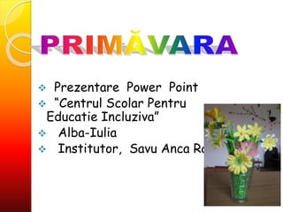  Prezentare Power Point
 “Centrul Scolar Pentru
Educatie Incluziva”
 Alba-Iulia
 Institutor, Savu Anca Ramona
 