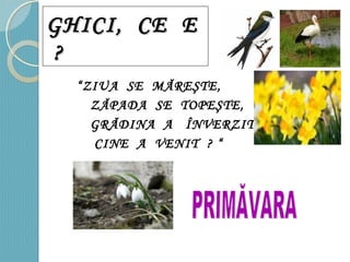 GHICI, CE EGHICI, CE E
??
“ZIUA SE MĂREŞTE,
ZĂPADA SE TOPEŞTE,
GRĂDINA A ÎNVERZIT,
CINE A VENIT ? “
 