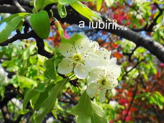 a iubirii...
 