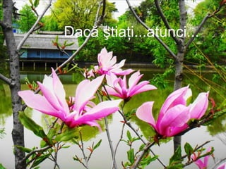 Dacă ştiaţi...atunci...
 