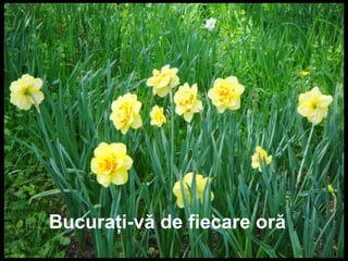 Bucuraţi-vă de fiecare oră ,
 