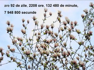 are 92 de zile, 2208 ore, 132 480 de minute,
7 948 800 secunde
 