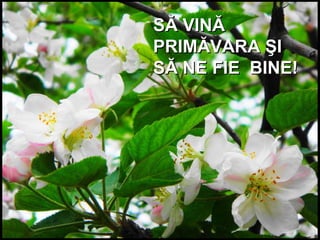 SĂ VINĂSĂ VINĂ
PRIMĂVARA ŞIPRIMĂVARA ŞI
SĂ NE FIE BINE!SĂ NE FIE BINE!
 