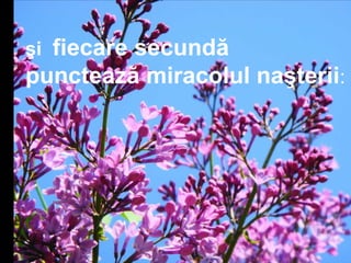 şi fiecare secundă
punctează miracolul naşterii:
 