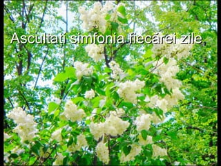 Ascultaţi simfonia fiecărei zileAscultaţi simfonia fiecărei zile,,
 