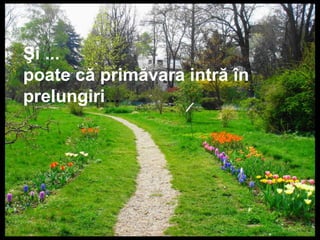 Şi ...
poate că primăvara intră în
prelungiri...
 