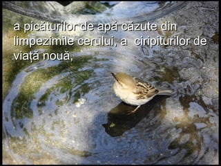 a picăturilor de apă căzute dina picăturilor de apă căzute din
limpezimile cerului, a ciripiturilor delimpezimile cerului, a ciripiturilor de
viaţă nouă,viaţă nouă,
 