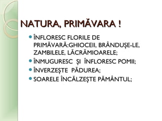 NATURA, PRIMĂVARA !NATURA, PRIMĂVARA !
ÎNFLORESC FLORILE DE
PRIMĂVARĂ:GHIOCEII, BRÂNDUŞE-LE,
ZAMBILELE, LĂCRĂMIOARELE;
ÎNMUGURESC ŞI ÎNFLORESC POMII;
ÎNVERZEŞTE PĂDUREA;
SOARELE ÎNCĂLZEŞTE PĂMÂNTUL;
 