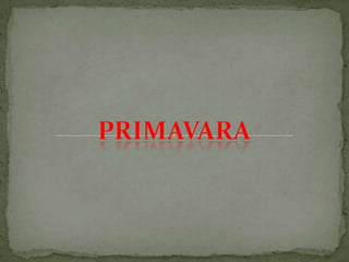 Primavara 2