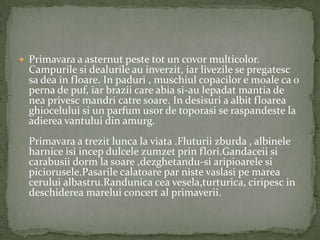  Primavara a asternut peste tot un covor multicolor.
  Campurile si dealurile au inverzit, iar livezile se pregatesc
  sa dea in floare. In paduri , muschiul copacilor e moale ca o
  perna de puf, iar brazii care abia si-au lepadat mantia de
  nea privesc mandri catre soare. In desisuri a albit floarea
  ghiocelului si un parfum usor de toporasi se raspandeste la
  adierea vantului din amurg.
  Primavara a trezit lunca la viata .Fluturii zburda , albinele
  harnice isi incep dulcele zumzet prin flori.Gandaceii si
  carabusii dorm la soare ,dezghetandu-si aripioarele si
  piciorusele.Pasarile calatoare par niste vaslasi pe marea
  cerului albastru.Randunica cea vesela,turturica, ciripesc in
  deschiderea marelui concert al primaverii.
 