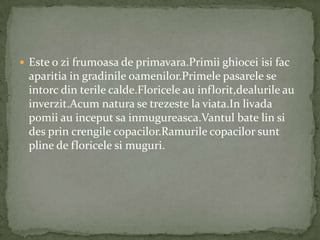  Este o zi frumoasa de primavara.Primii ghiocei isi fac
 aparitia in gradinile oamenilor.Primele pasarele se
 intorc din terile calde.Floricele au inflorit,dealurile au
 inverzit.Acum natura se trezeste la viata.In livada
 pomii au inceput sa inmugureasca.Vantul bate lin si
 des prin crengile copacilor.Ramurile copacilor sunt
 pline de floricele si muguri.
 