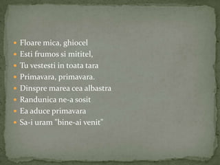  Floare mica, ghiocel
 Esti frumos si mititel,
 Tu vestesti in toata tara
 Primavara, primavara.
 Dinspre marea cea albastra
 Randunica ne-a sosit
 Ea aduce primavara
 Sa-i uram "bine-ai venit"
 