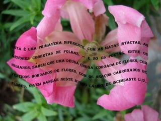 Esta é uma primavera diferente, com as matas intactas, as árvores cobertas de folhas, — e só os poetas, entre os humanos, sabem que uma Deusa chega, coroada de flores, com vestidos bordados de flores, com os braços carregados de flores, e vem dançar neste mundo cálido, de incessante luz.
