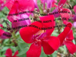 Tudo isto para brilhar um instante, apenas, para ser lançado ao vento, — por fidelidade à obscura semente, ao que vem, na rotação da eternidade. Saudemos a primavera, dona da vida — e efêmera.