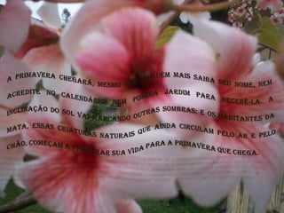 A primavera chegará, mesmo que ninguém mais saiba seu nome, nem acredite no calendário, nem possua jardim para recebê-la. A inclinação do sol vai marcando outras sombras; e os habitantes da mata, essas criaturas naturais que ainda circulam pelo ar e pelo chão, começam a preparar sua vida para a primavera que chega.