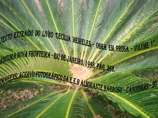 Texto extraído do livro "Cecília Meireles - Obra em Prosa - Volume 1", Editora Nova Fronteira - Rio de Janeiro, 1998, pág. 366.Imagens: Acervofotográficoda E.E.B Almirante Barroso – Canoinhas – Sc.