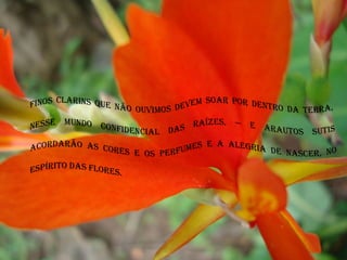 Finos clarins que não ouvimos devem soar por dentro da terra, nesse mundo confidencial das raízes, — e arautos sutis acordarão as cores e os perfumes e a alegria de nascer, no espírito das flores.