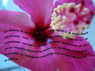 Há bosques de rododendros que eram verdes e já estão todos cor-de-rosa, como os palácios de Jeipur. Vozes novas de passarinhos começam a ensaiar as árias tradicionais de sua nação. Pequenas borboletas brancas e amarelas apressam-se pelos ares, — e certamente conversam: mas tão baixinho que não se entende.