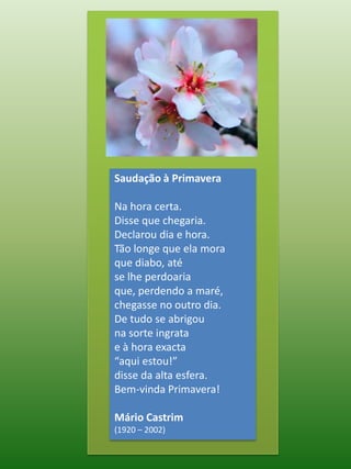 Saudação à PrimaveraNa hora certa.Disse que chegaria.Declarou dia e hora.Tão longe que ela moraque diabo, atése lhe perdoariaque, perdendo a maré,chegasse no outro dia.De tudo se abrigouna sorte ingratae à hora exacta“aqui estou!”disse da alta esfera.Bem-vinda Primavera!Mário Castrim(1920 – 2002)