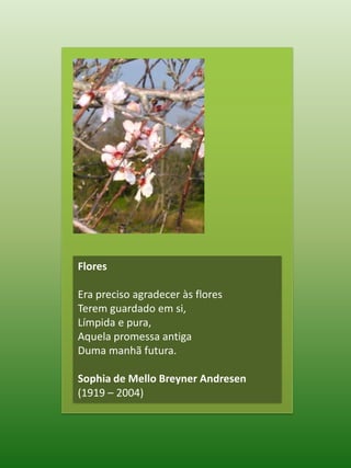 FloresEra preciso agradecer às floresTerem guardado em si,Límpida e pura,Aquela promessa antigaDuma manhã futura.Sophia de Mello Breyner Andresen (1919 – 2004)