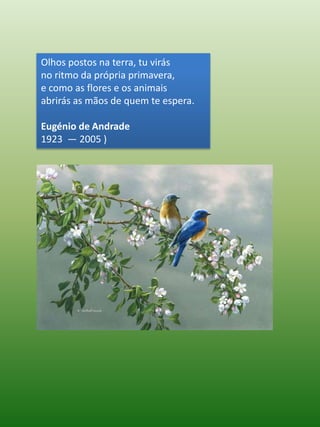 Olhos postos na terra, tu virás no ritmo da própria primavera, e como as flores e os animais abrirás as mãos de quem te espera.Eugénio de Andrade1923  — 2005 )